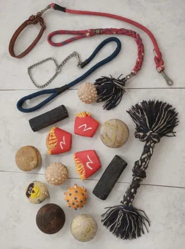 15 Itens pet dog - briquedos cachorro