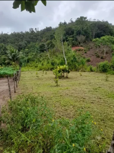 Terreno em Araçás próxima a praia e linha verde