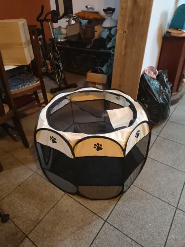 Cercadinho para cachorro