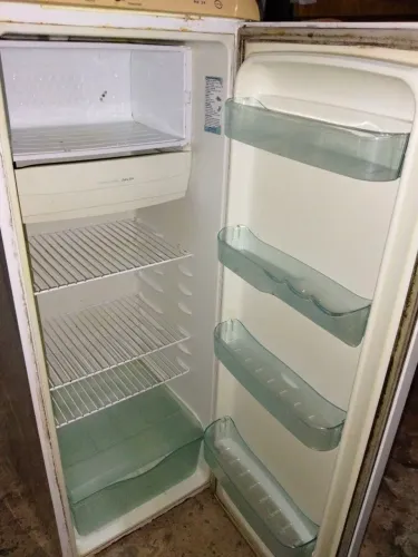 Geladeira Electrolux RE29 262L 1 Porta - 127V