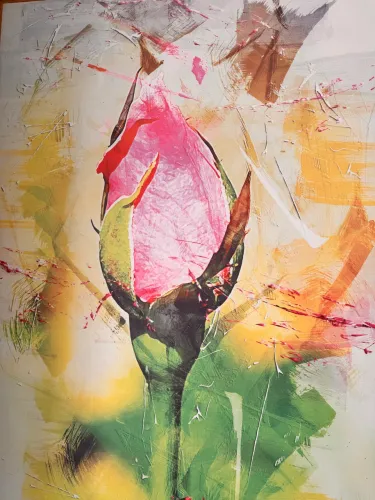 Quadro