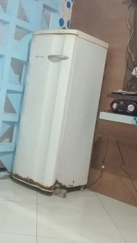 Vendo freezer Electrolux