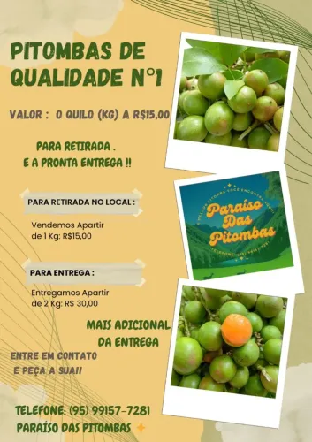 Vende-se Pitombas fresquinhas?