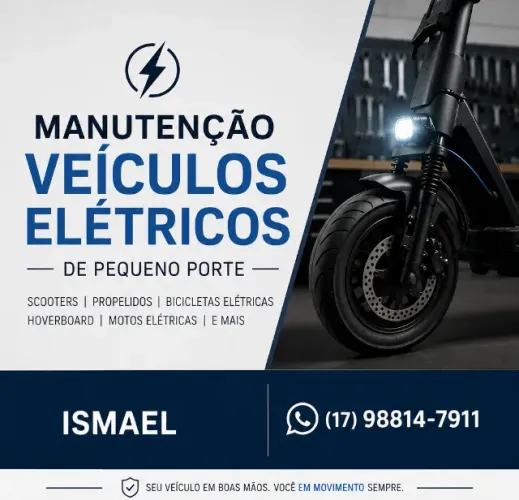 Manutenção em Veículos Elétricos