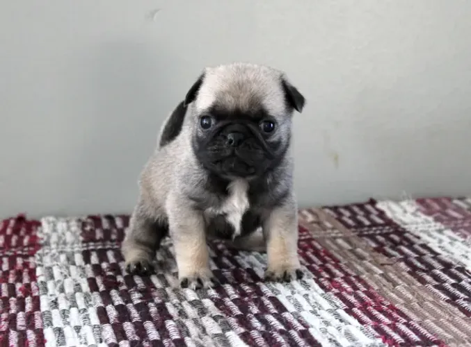 Cuidar é a forma mais bonita de amar.