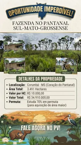 fazenda corumba ms