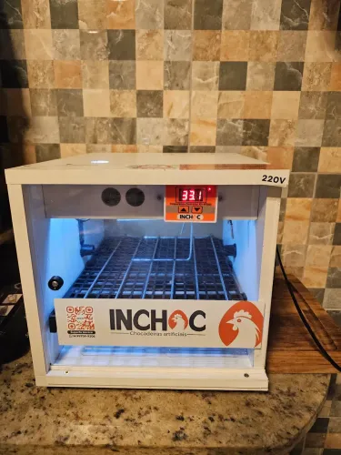 Chocadeira nova