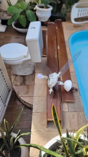 Vendo janela para banheiro e sala, vaso sanitário, ventilador de teto, portal,