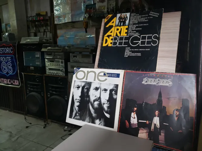 Discos de Vinil Bee Gees