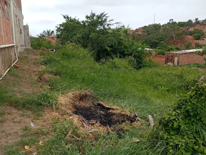 Terreno medindo 12/20