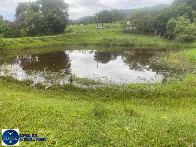 Chácara à Venda em Taquaral de Goiás 1 Alqueire | Água Abundante