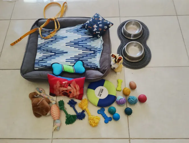 Doação para cachorro