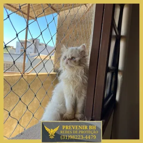 tela de proteção para gatos