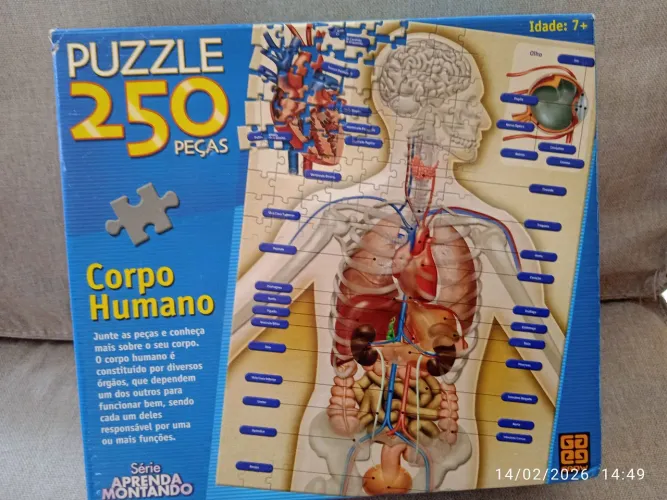 Puzzle 250 pecas Corpo Humano