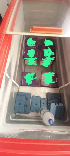 Freezer