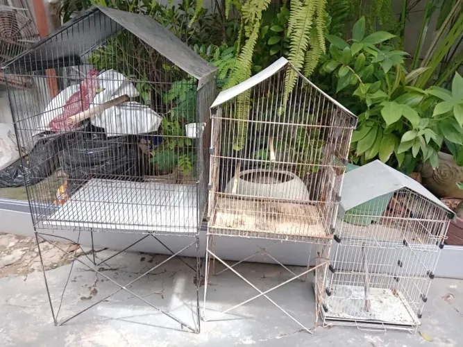 Vende_ se 3 viveros valor 500