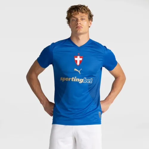 Camisa do Palmeiras III 2026/27 Puma Torcedor