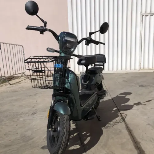 Bicicleta Elétrica - PRIME