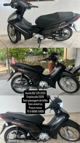 BIZ 125 2015