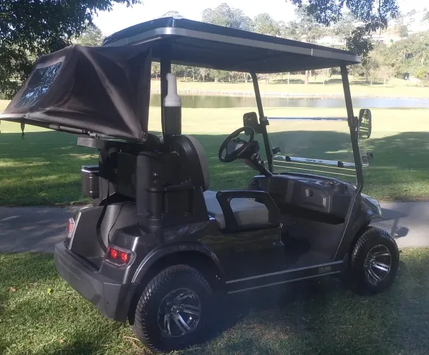 Carrinho de golfe 2 lugares