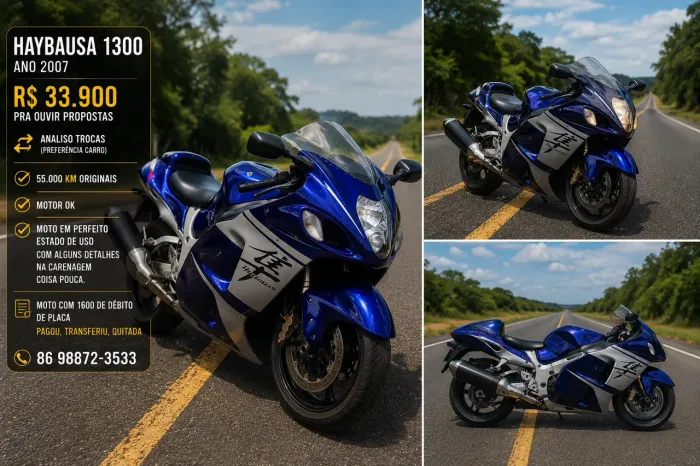 Hayabusa 1300r