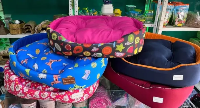 Caminha pet a partir de R$70 à vista