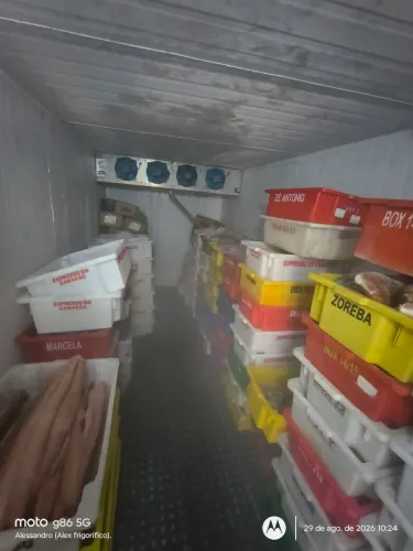Câmara frigorífico para Peixes