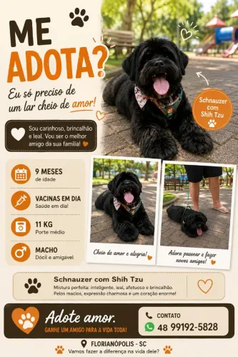 Cachorro