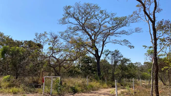 Chácara de 20mil mt com rancho córrego no fundo com 50mil de entrada!