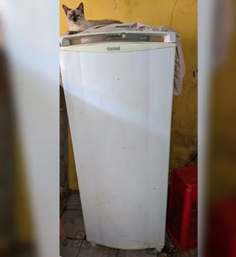 Geladeira consul