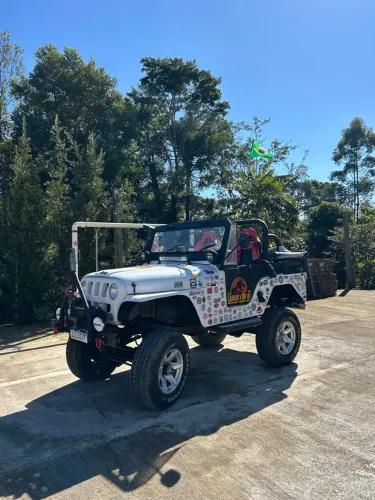 Willys Overland Jeep 2.6 12V Gasolina 2P 1961