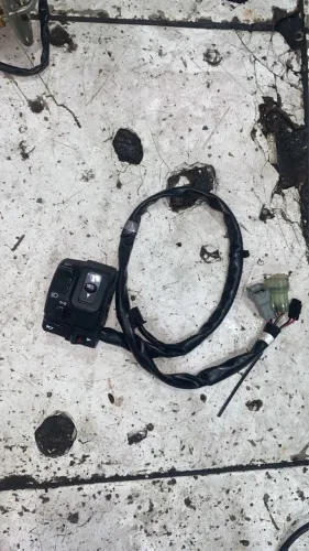 Punho de Luz Esquerdo Original Kawasaki Versys 650 (2015-2024) com SEL