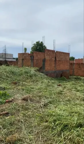 Limpeza de lotes e jardinagem 