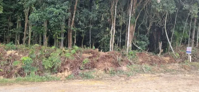 Vende-se amplo terreno no centro de Schroeder