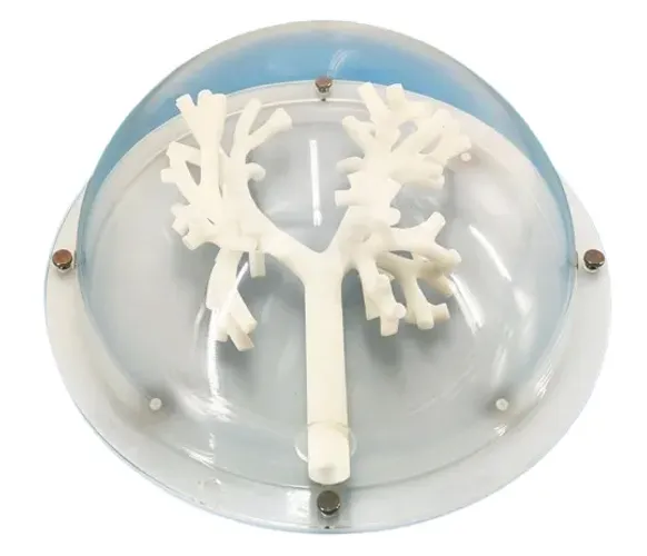 Simulador De Treinamento Em Broncoscopia Com Traqueia