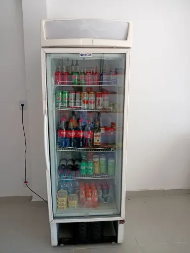 Freezer vertical