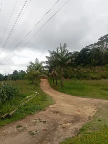 Excelente terreno com 5 alqueires em Melgaço, Martins ES.