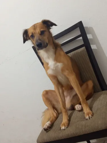 Doação responsável 