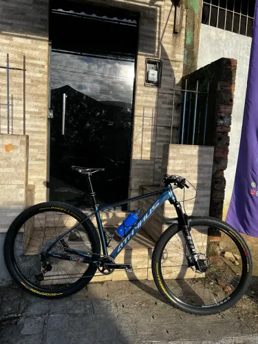MTB First Athymus 17