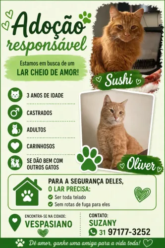 Doação GATOS