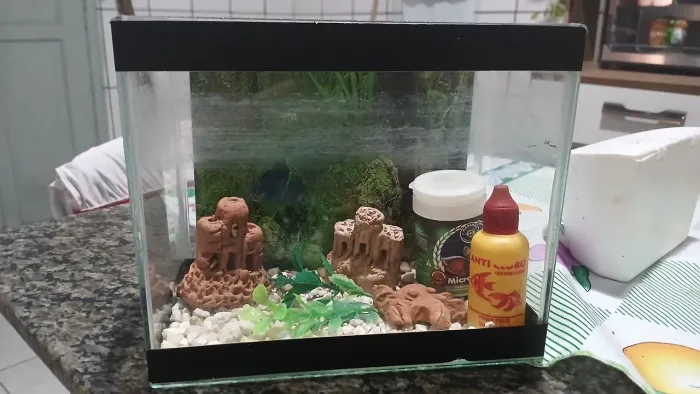 Aquários beta 2 litros completo