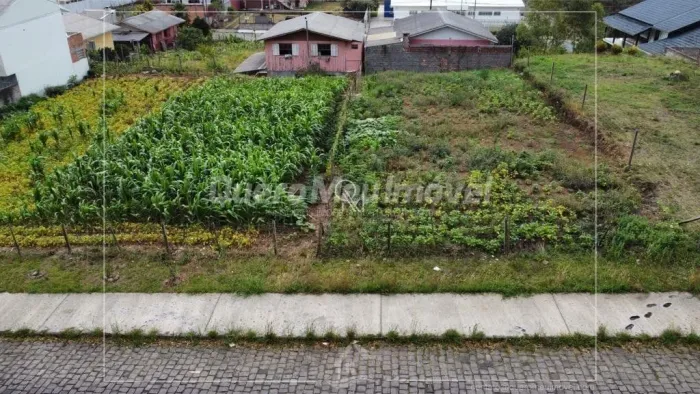 Terreno à venda Nossa Senhora do Rosário Caxias do Sul/RS