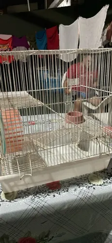 Gaiola Hamster