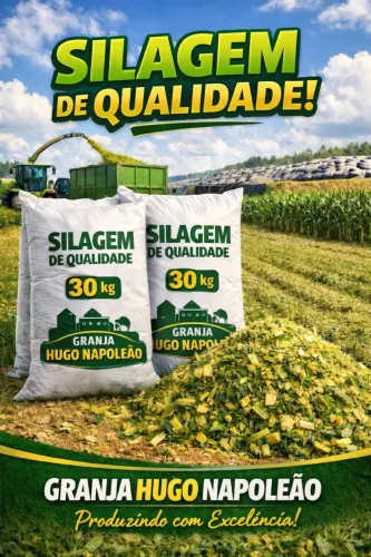 Silagem - saco 30KG