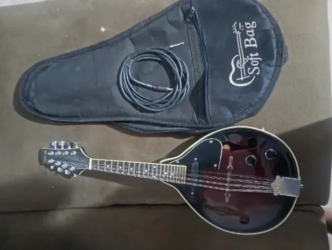 Bandolim elétrico e acústico
