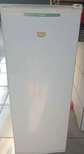 Freezer vertical