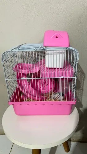 Hamster com gaiola