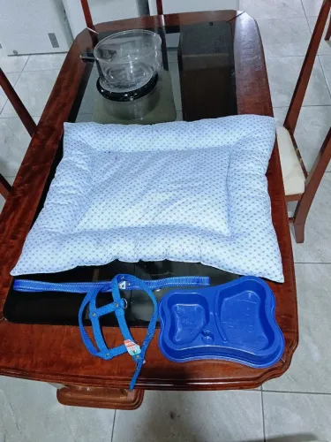 Kit de materiais para cachorro.<br>