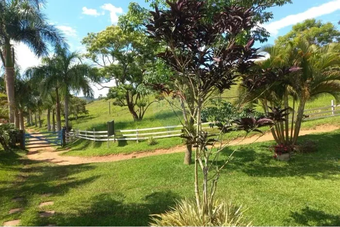 Venda de Sítio em Lima Duarte - MG
