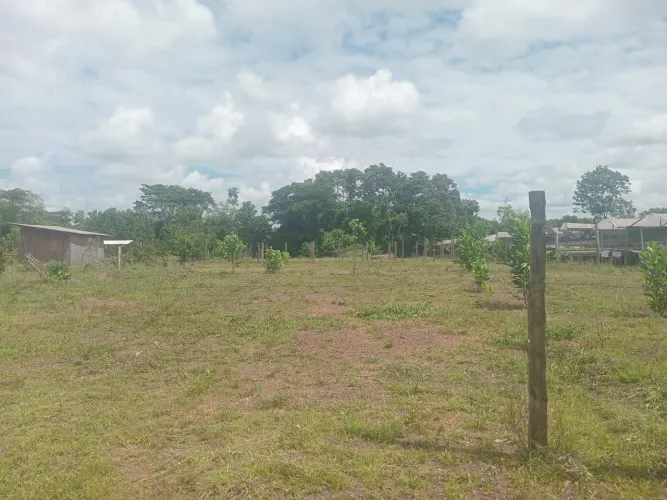 Vendo ótimo terreno em Benfica localizado no touro bravo 15mil.